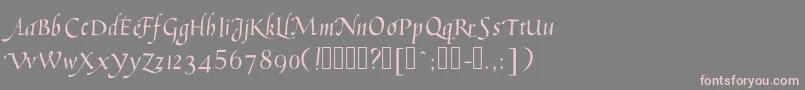 Humanisticcursiveフォントについての詳細 フォントHumanisticcursive – 灰色の背景にピンクのフォント