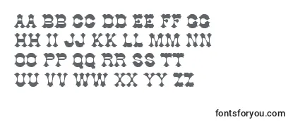 Обзор шрифта AlamoSsi