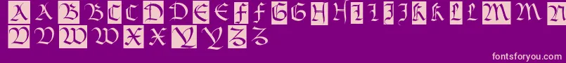 Bastardamajuskel1300 Font – Pink Fonts on Purple Background