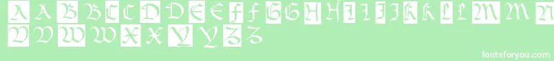 More about Bastardamajuskel1300 Font Bastardamajuskel1300 Font – White Fonts on Green Background