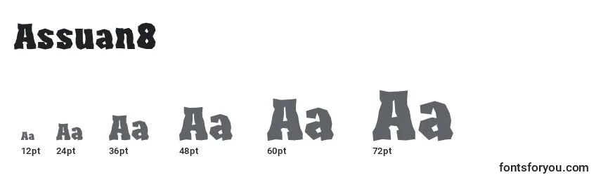 Assuan8 font sizes