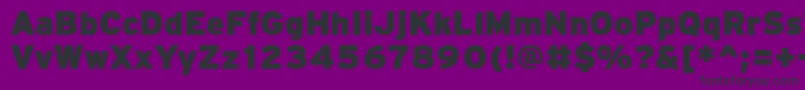 PftransitHeavyblack Font – Black Fonts on Purple Background