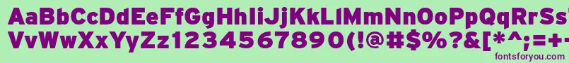 PftransitHeavyblack Font – Purple Fonts on Green Background