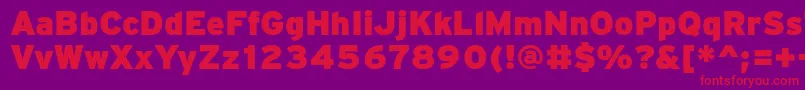 PftransitHeavyblack Font – Red Fonts on Purple Background