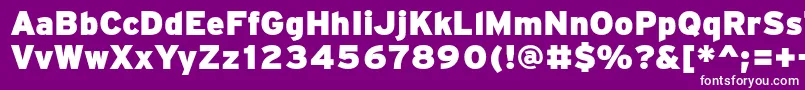 PftransitHeavyblack Font – White Fonts on Purple Background