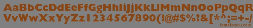 GillsansstdExtrabold Font – Brown Fonts on Gray Background