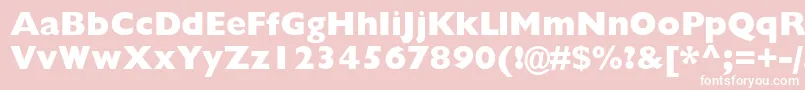 GillsansstdExtrabold Font – White Fonts on Pink Background