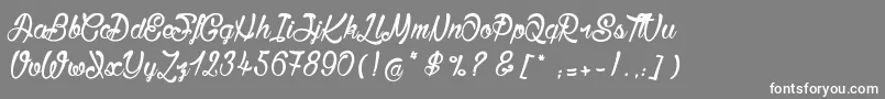 BisousСЊ Font – White Fonts on Gray Background