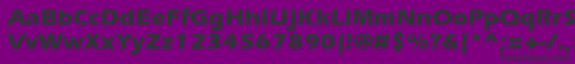 SpeedoBlackSsiBold Font – Black Fonts on Purple Background