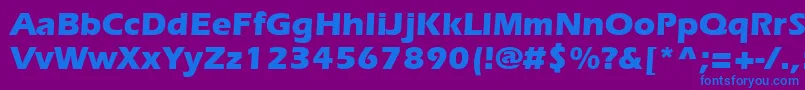 SpeedoBlackSsiBold Font – Blue Fonts on Purple Background