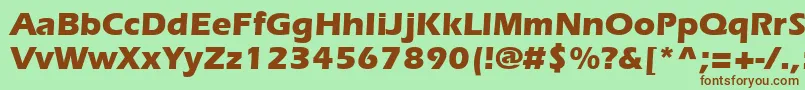 SpeedoBlackSsiBold Font – Brown Fonts on Green Background