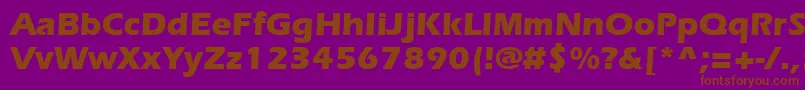 SpeedoBlackSsiBold Font – Brown Fonts on Purple Background