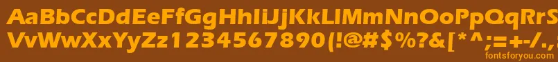 SpeedoBlackSsiBold Font – Orange Fonts on Brown Background