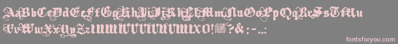 Kalmari Font – Pink Fonts on Gray Background