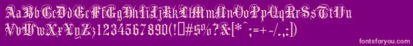 Anglicantext Font – Pink Fonts on Purple Background