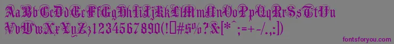 Anglicantext-fontti – violetit fontit harmaalla taustalla