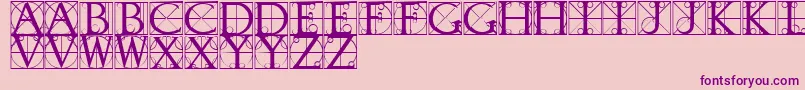 TypographerCaps-Schriftart – Violette Schriften auf rosa Hintergrund