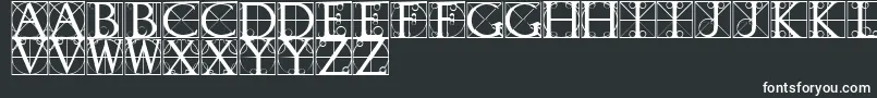 Czcionka TypographerCaps – białe czcionki na czarnym tle