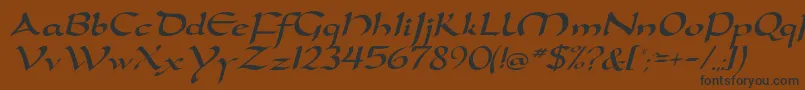 DortmunddbItalic Font – Black Fonts on Brown Background