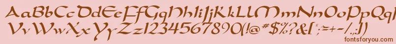 DortmunddbItalic Font – Brown Fonts on Pink Background