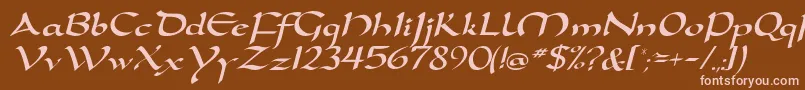 DortmunddbItalic Font – Pink Fonts on Brown Background