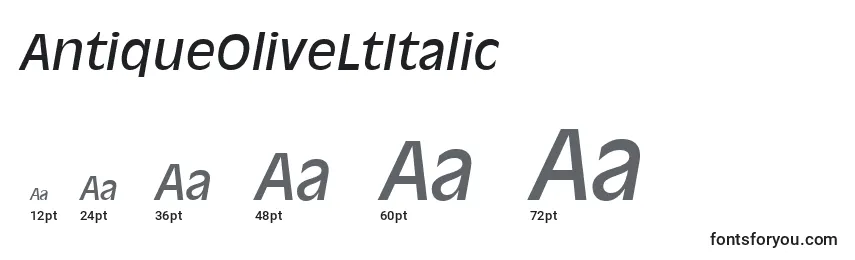 Größen der Schriftart AntiqueOliveLtItalic