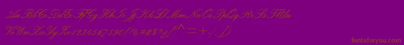 Police PalaceScriptMtSemiBold – polices brunes sur fond violet