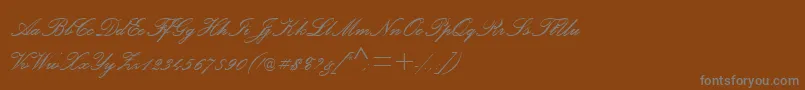 フォントPalaceScriptMtSemiBold – 茶色の背景に灰色の文字