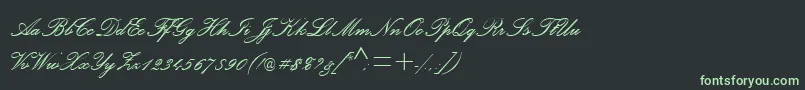 fuente PalaceScriptMtSemiBold – Fuentes Verdes Sobre Fondo Negro