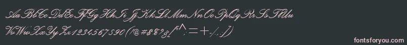 Fonte PalaceScriptMtSemiBold – fontes rosa em um fundo preto