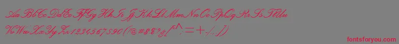 PalaceScriptMtSemiBold Font – Red Fonts on Gray Background