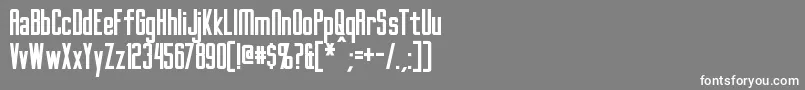 GothamNightsBold Font – White Fonts on Gray Background