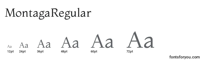 MontagaRegular Font Sizes