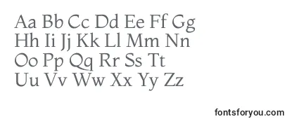 MontagaRegular Font