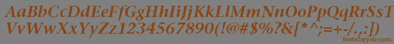 Шрифт ItcStoneSerifLtSemiboldItalic – коричневые шрифты на сером фоне