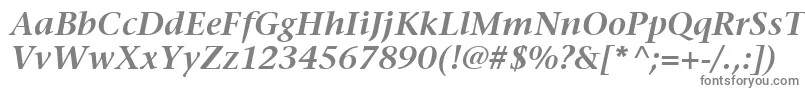 フォントItcStoneSerifLtSemiboldItalic – 白い背景に灰色の文字