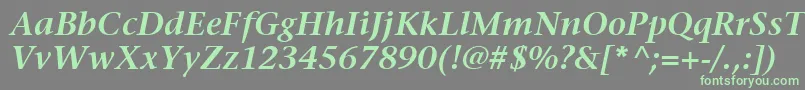 フォントItcStoneSerifLtSemiboldItalic – 灰色の背景に緑のフォント