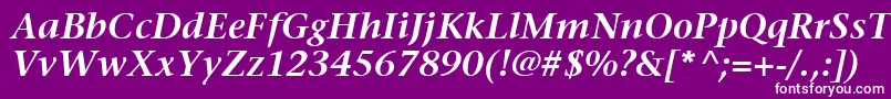 フォントItcStoneSerifLtSemiboldItalic – 紫の背景に白い文字