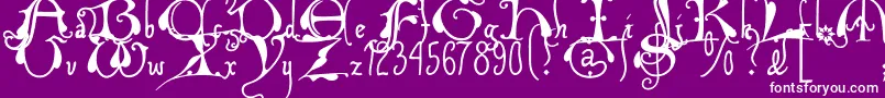 Xiparoslombard Font – White Fonts on Purple Background