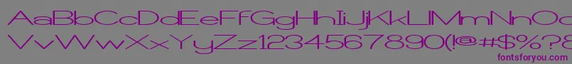 CastorgateWide Font – Purple Fonts on Gray Background