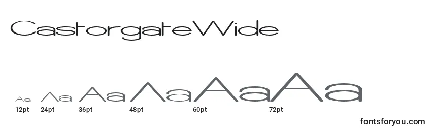 CastorgateWide Font Sizes