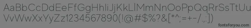 MadeEvolveSansThinPersonalUse Font – Black Fonts on Gray Background