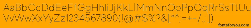 MadeEvolveSansThinPersonalUse Font – Black Fonts on Orange Background