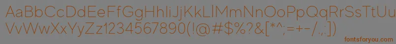 MadeEvolveSansThinPersonalUse Font – Brown Fonts on Gray Background