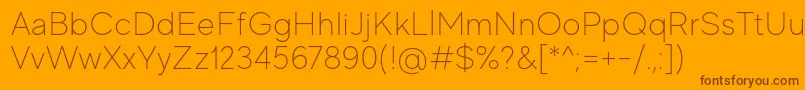 MadeEvolveSansThinPersonalUse Font – Brown Fonts on Orange Background