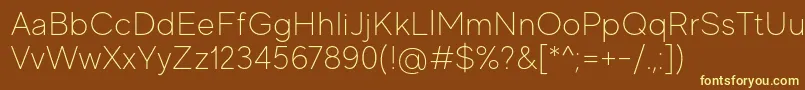 MadeEvolveSansThinPersonalUse Font – Yellow Fonts on Brown Background