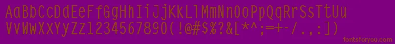 Steeptypewritermedium Font – Brown Fonts on Purple Background