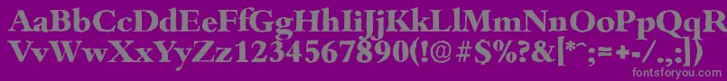 BambergantiqueXboldRegular Font – Gray Fonts on Purple Background