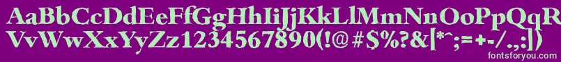 BambergantiqueXboldRegular Font – Green Fonts on Purple Background