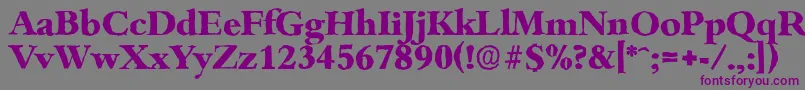 BambergantiqueXboldRegular Font – Purple Fonts on Gray Background